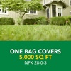 image:imageScotts Turf Builder Weed and Feed5  Weed Killer Plus Lawn Fertilizer Lawn Weed Killer Controls Dandelion and Clover Grass Fertilizer for Up to 4000 sq ft 1132 lb5 000 sq ft