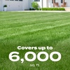 image:imageScotts Turf Builder Weed and Feed5  Weed Killer Plus Lawn Fertilizer Lawn Weed Killer Controls Dandelion and Clover Grass Fertilizer for Up to 4000 sq ft 1132 lbLiquid 32 fl oz