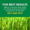 image:imageScotts Turf Builder Weed and Feed5  Weed Killer Plus Lawn Fertilizer Lawn Weed Killer Controls Dandelion and Clover Grass Fertilizer for Up to 4000 sq ft 1132 lb12 000 sq ft
