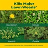 image:imageScotts Turf Builder Weed and Feed5  Weed Killer Plus Lawn Fertilizer Lawn Weed Killer Controls Dandelion and Clover Grass Fertilizer for Up to 4000 sq ft 1132 lbLiquid 32 fl oz