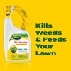 image:imageScotts Turf Builder Weed and Feed5  Weed Killer Plus Lawn Fertilizer Lawn Weed Killer Controls Dandelion and Clover Grass Fertilizer for Up to 4000 sq ft 1132 lbLiquid 32 fl oz
