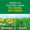 image:imageScotts Turf Builder Weed and Feed5  Weed Killer Plus Lawn Fertilizer Lawn Weed Killer Controls Dandelion and Clover Grass Fertilizer for Up to 4000 sq ft 1132 lb15 000 sq ft