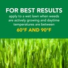 image:imageScotts Turf Builder Weed and Feed5  Weed Killer Plus Lawn Fertilizer Lawn Weed Killer Controls Dandelion and Clover Grass Fertilizer for Up to 4000 sq ft 1132 lb5 000 sq ft
