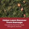 image:imageScotts Turf Builder WinterGuard Fall Lawn Fertilizer for All Grass Types 4000 sq ft 10 lbs4 000 sq ft