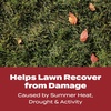 image:imageScotts Turf Builder WinterGuard Fall Lawn Fertilizer for All Grass Types 4000 sq ft 10 lbs5 000 sq ft