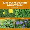 image:imageScotts Turf Builder WinterGuard Fall Weed amp Feed3 Weed Killer Plus Fall Fertilizer 4000 sq ft 1143 lbs15 000 sq ft