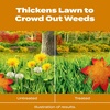 image:imageScotts Turf Builder WinterGuard Fall Weed amp Feed3 Weed Killer Plus Fall Fertilizer 4000 sq ft 1143 lbs15 000 sq ft