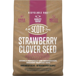 image:imageOM Scott and Sons Buffalograss Seed Naturally Drought Tolerant Native Grass Seeds for Lawns Covers up to 350 sq ft 07 lbClover