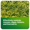 image:imageScotts MossEx 3in1 Ready Spray  HoseEnd Applicator Kills Moss Algae and Lichens Fast Acting Moss Killer for Lawns Roofs Patios 32 fl ozReady To Spray