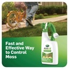 image:imageScotts MossEx 3in1 Ready Spray  HoseEnd Applicator Kills Moss Algae and Lichens Fast Acting Moss Killer for Lawns Roofs Patios 32 fl ozReady To Spray