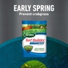 image:imageScotts Turf Builder 4Bag Lawn Care Bundle for Small Lawns with Halts Crabgrass Preventer Weed amp Feed5 SummerGuard and WinterGuard4Bag Program without Spreader