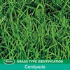 image:imageScotts Turf Builder Centipede Grass Seed amp Mulch Grows a Thick LowMaintenance Lawn 5 lbs2 000 sq ft