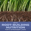 image:imageScotts Turf Builder Grass Seed HeatTolerant Blue Mix for Tall Fescue Lawns  Grass Seed Plus Lawn Fertilizer and Soil Improver Covers Up to 1400 sq ft 56 lb16 lb