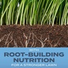image:imageScotts Turf Builder Grass Seed Kentucky Bluegrass Mix  Grass Seed Plus Lawn Fertilizer and Soil Improver Grows Dense Green Turf Covers Up to 3730 sq ft 56 lb24 lb
