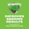image:imageScotts Turf Builder Starter Food for New Grass 15 lb  Lawn Fertilizer for Newly Planted Grass Also Great for Sod and Grass Plugs  Covers 5000 sq ftLiquid Starter Lawn Fertilizer
