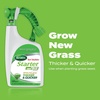 image:imageScotts Turf Builder Starter Food for New Grass 15 lb  Lawn Fertilizer for Newly Planted Grass Also Great for Sod and Grass Plugs  Covers 5000 sq ftLiquid Starter Lawn Fertilizer