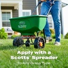 image:imageScotts Turf Builder SummerGuard Lawn Food with Insect Control 5000 sq ft15 000 sq ft