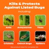 image:imageScotts Turf Builder SummerGuard Lawn Food with Insect Control 5000 sq ft5 000 sq ft