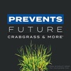 image:imageScotts Turf Builder Triple Action1  Weed Control Lawn Weed Killer Crabgrass Preventer and Grass Fertilizer for Lawns Covers 4000 sq ft 1131 lb