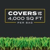image:imageScotts Turf Builder Triple Action1  Weed Control Lawn Weed Killer Crabgrass Preventer and Grass Fertilizer for Lawns Covers 4000 sq ft 1131 lb