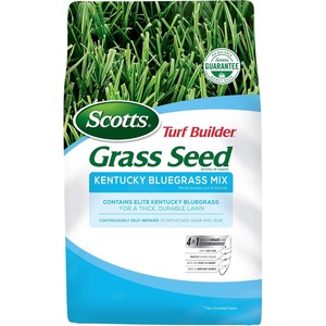 image:imageScotts Turf Builder Grass Seed Kentucky Bluegrass Mix  Grass Seed Plus Lawn Fertilizer and Soil Improver Grows Dense Green Turf Covers Up to 3730 sq ft 56 lb7 lb