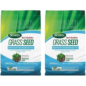 image:imageScotts Turf Builder Grass Seed Kentucky Bluegrass Mix  Grass Seed Plus Lawn Fertilizer and Soil Improver Grows Dense Green Turf Covers Up to 3730 sq ft 56 lb24 lb Pack of 2