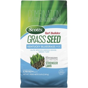 image:imageScotts Turf Builder Grass Seed Kentucky Bluegrass Mix  Grass Seed Plus Lawn Fertilizer and Soil Improver Grows Dense Green Turf Covers Up to 3730 sq ft 56 lb56 lb