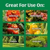 image:imageScotts All Purpose Flower and Vegetable Continuous Release Plant Food For Outdoor InGround Plants 3 lb3 lb