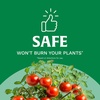 image:imageScotts All Purpose Flower and Vegetable Continuous Release Plant Food For Outdoor InGround Plants 3 lb3 lb