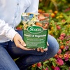 image:imageScotts All Purpose Flower and Vegetable Continuous Release Plant Food For Outdoor InGround Plants 3 lb3 lb