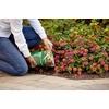 image:imageScotts All Purpose Flower and Vegetable Continuous Release Plant Food For Outdoor InGround Plants 3 lb3 lb Pack of 6