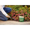 image:imageScotts All Purpose Flower and Vegetable Continuous Release Plant Food For Outdoor InGround Plants 3 lb3 lb Pack of 6