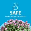 image:imageScotts Rose amp Bloom Continuous Release Plant Food 3 lb3 pounds