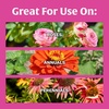 image:imageScotts Rose amp Bloom Continuous Release Plant Food 3 lb3 pounds