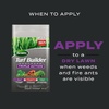 image:imageScotts Turf Builder Southern Triple Action Fertilizer  Weed Killer Fire Ant Preventer  4000 Sq Ft4 000 sq ft Single
