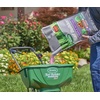 image:imageScotts Turf Builder Southern Triple Action Fertilizer  Weed Killer Fire Ant Preventer  4000 Sq FtLarge Bundle