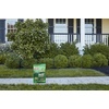 image:imageScotts Turf Builder Southern Triple Action Fertilizer  Weed Killer Fire Ant Preventer  4000 Sq FtLarge Bundle