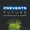 image:imageScotts Turf Builder Triple Action1 Combination Weed Control Weed Preventer and Fertilizer 2502 5000 sq ft 1410 lbs8 000 sq ft
