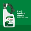 image:imageScotts Liquid Lawn Care Bundle with Turf Builder Lawn Food Turf Builder with Plus 2 Weed Control and Green Max Lawn Food