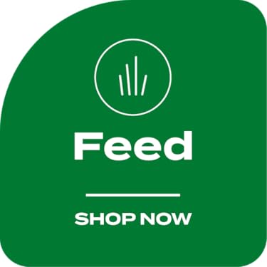 Scotts : Turf Builder & Garden Supplies
