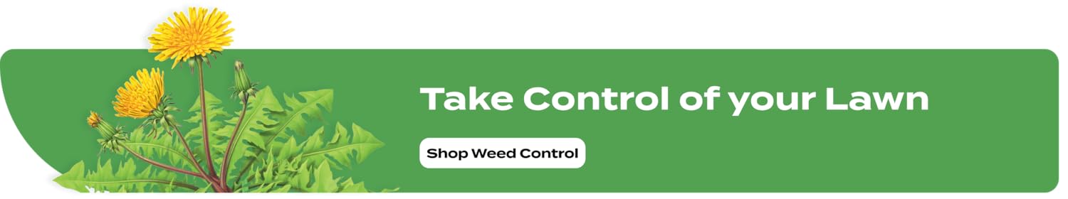 Scotts : Turf Builder & Garden Supplies