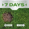 image:imageScotts PatchMaster Lawn Repair Mix Tall Fescue Mix 475 lbs  Combination Grass Seed Grass Fertilizer and Mulch Lawn Patch Repair10 LB