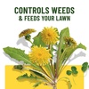 image:imageScotts Turf Builder Liquid Lawn Food Plus Weed Control Refill 32 fl oz  Liquid Weed Killer and Grass Fertilizer