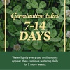 image:imageOM Scott amp Sons White Clover Seed 2 lbs  Clover Lawn Seed for a Naturally Low Maintenance Yard Covers 1000 sq ft