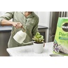 image:imageMiracleGro Perlite 8 qt 2Pack3 Pack