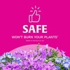 image:imageScotts Super Bloom Water Soluble Plant Food 2 lbs2 lb Pack of 12