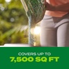 image:imageScotts Turf Builder Rapid Grass Bermudagrass 6 lbs