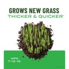 image:imageScotts Turf Builder Liquid Starter Lawn Food 32 fl ozRefill